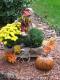 Autumn Yard Decorations